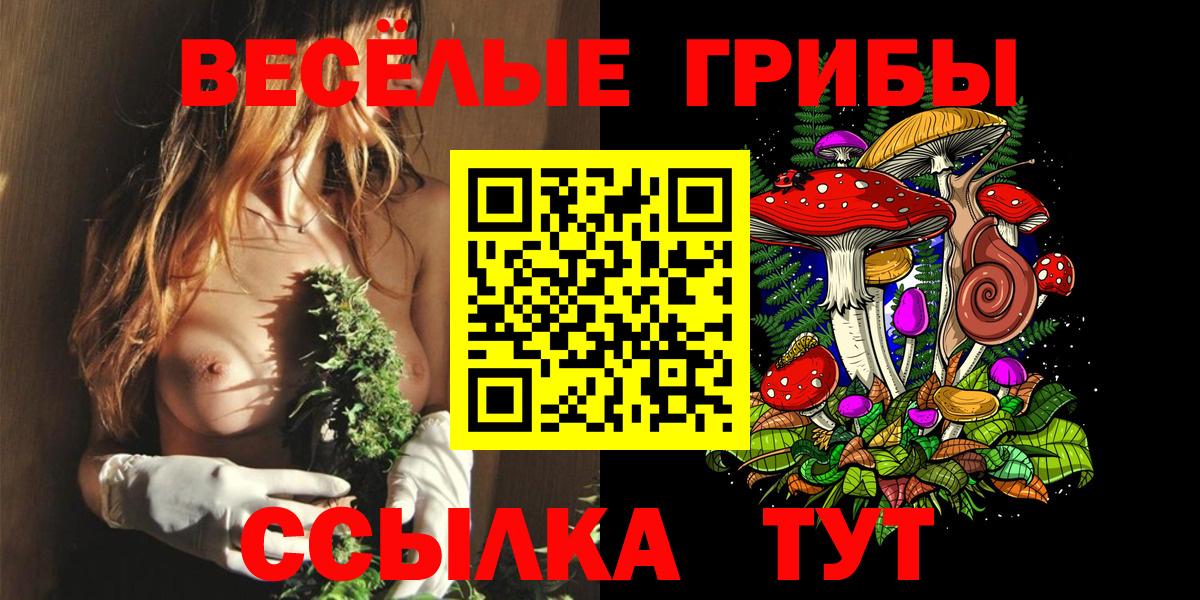 Галлюциногенные грибы GOLDEN TEACHER  Псилоцибиновые грибы Psilocybe  Вход с VPN  Сафоново 