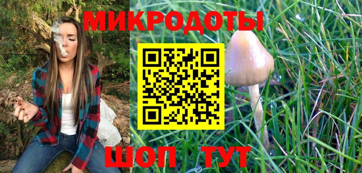 Псилоцибиновые грибы MAGIC MUSHROOMS Сафоново